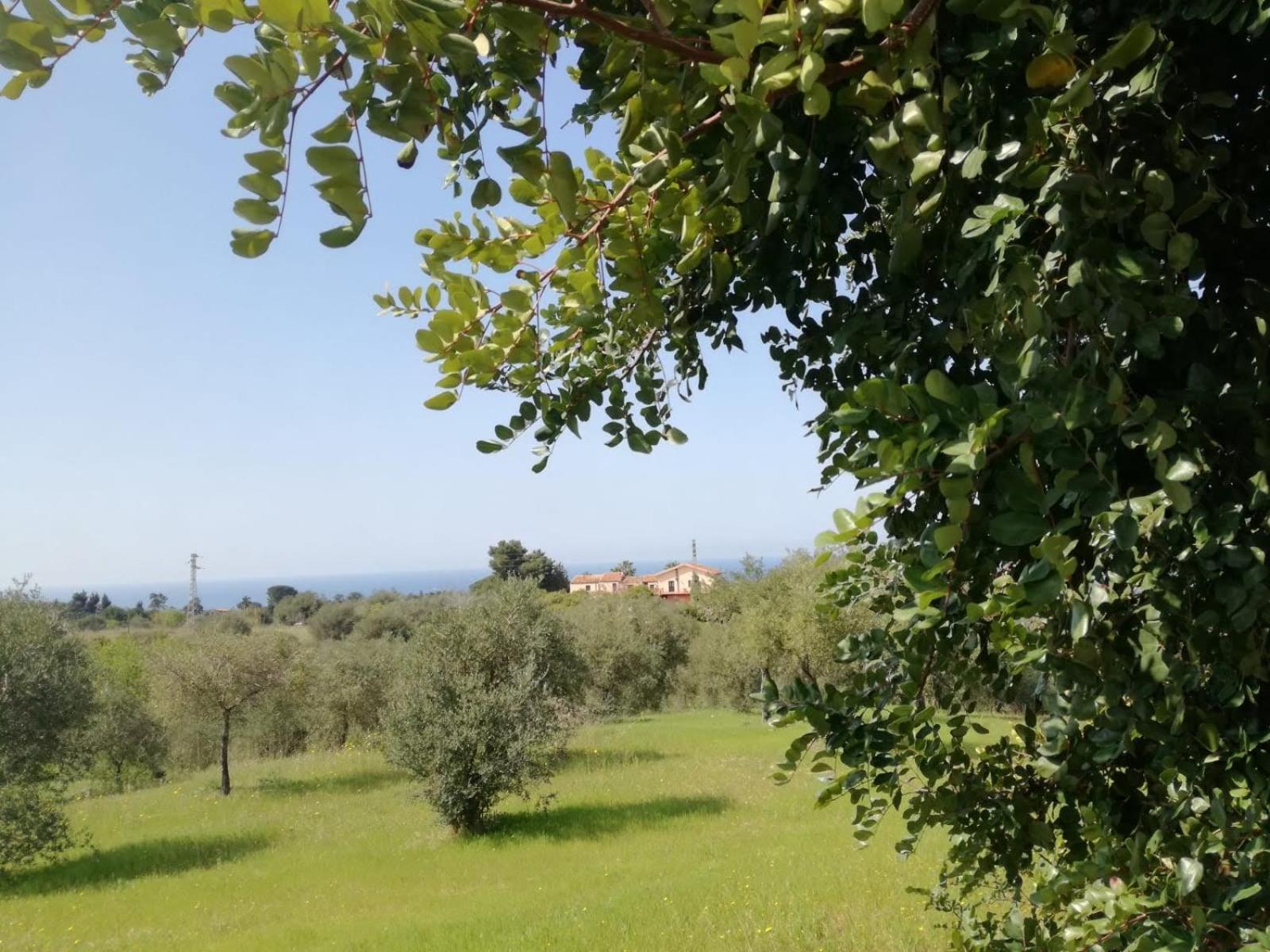 Il Casale Il Sole E La Margherita Кампофеліче-ді-Роччелла Екстер'єр фото