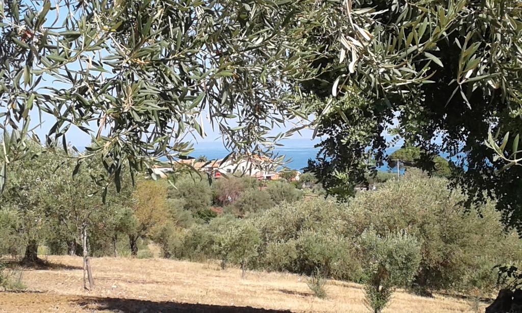 Il Casale Il Sole E La Margherita Кампофеліче-ді-Роччелла Екстер'єр фото